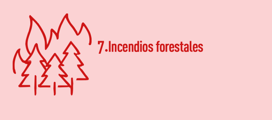 Unidad 7. Incendios Forestales