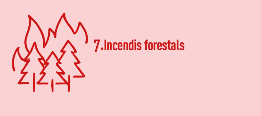 Unitat 7. Incendis Forestals