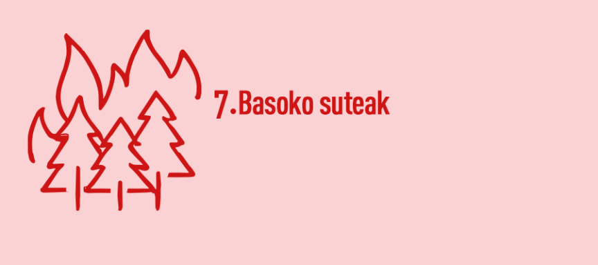 7. unitatea. Baso-suteak