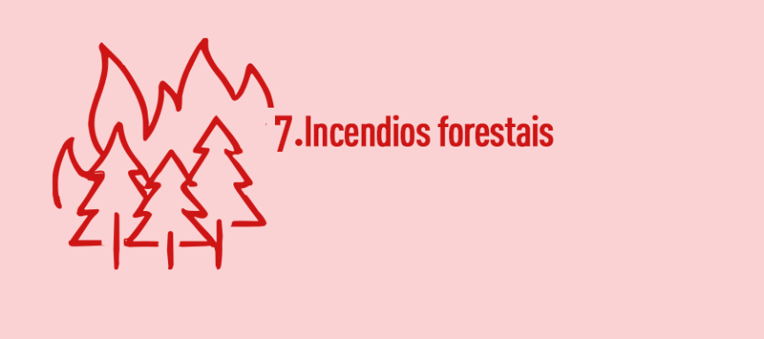 Unidade 7. Incendios Forestais